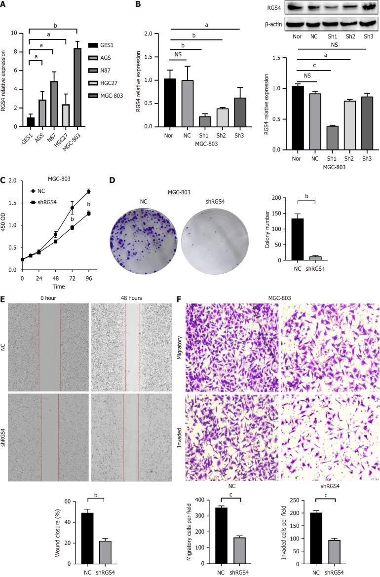 https://cdn.ncbi.nlm.nih.gov/pmc/blobs/bd73/11684191/d9a3279b47fc/100898-g002.jpg
