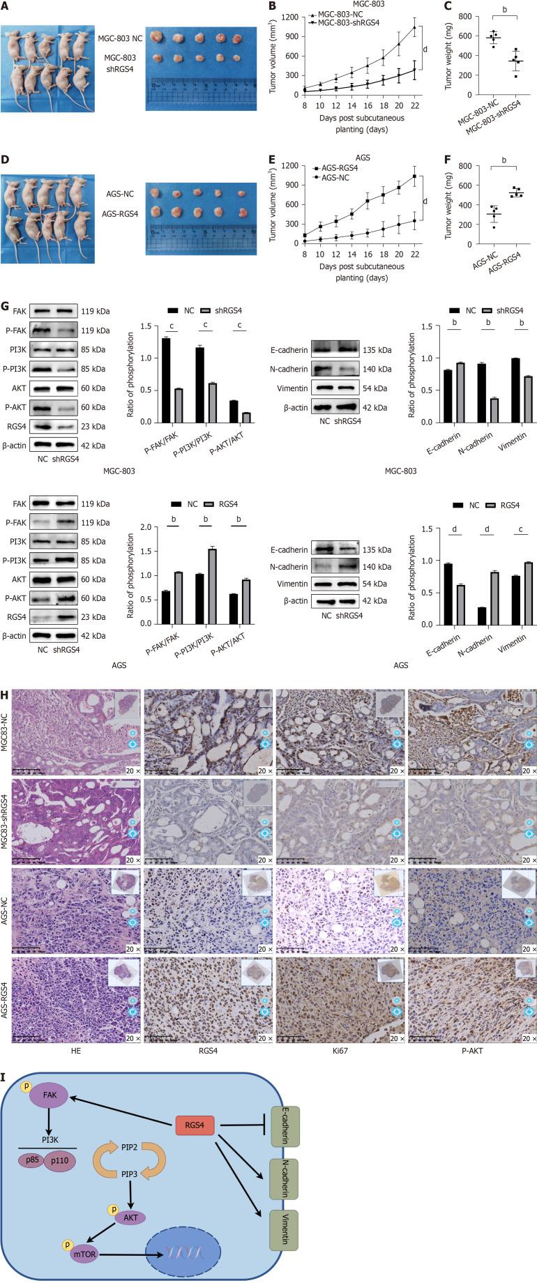 https://cdn.ncbi.nlm.nih.gov/pmc/blobs/bd73/11684191/e575a7cfdaaf/100898-g005.jpg