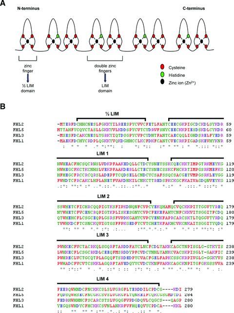 https://cdn.ncbi.nlm.nih.gov/pmc/blobs/bd73/3822721/ca217059c764/jcmm0014-2702-f1.jpg