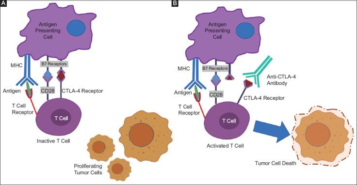 https://cdn.ncbi.nlm.nih.gov/pmc/blobs/bd73/9648525/2e99e33f4870/AnnGastroenterol-35-568-g004.jpg