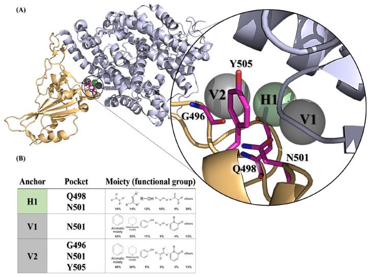 https://cdn.ncbi.nlm.nih.gov/pmc/blobs/bd74/11172837/4b4f53336805/ijms-25-06105-g001.jpg