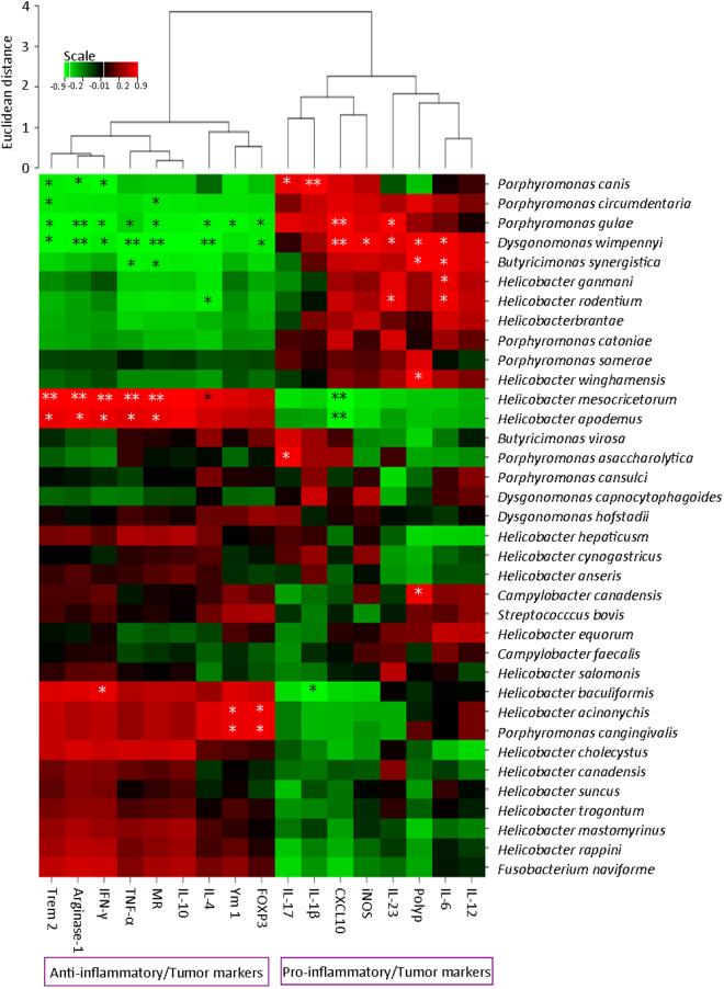 https://cdn.ncbi.nlm.nih.gov/pmc/blobs/bd74/5624945/c89907fb504f/41598_2017_12644_Fig8_HTML.jpg