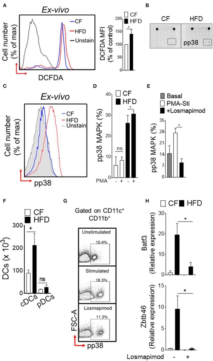 https://cdn.ncbi.nlm.nih.gov/pmc/blobs/bd74/7058657/41b7b9eaaf8f/fimmu-11-00363-g0002.jpg