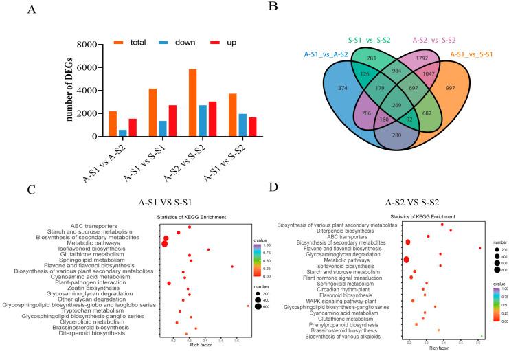 https://cdn.ncbi.nlm.nih.gov/pmc/blobs/bd75/10669577/383f832612e9/biomolecules-13-01649-g003.jpg