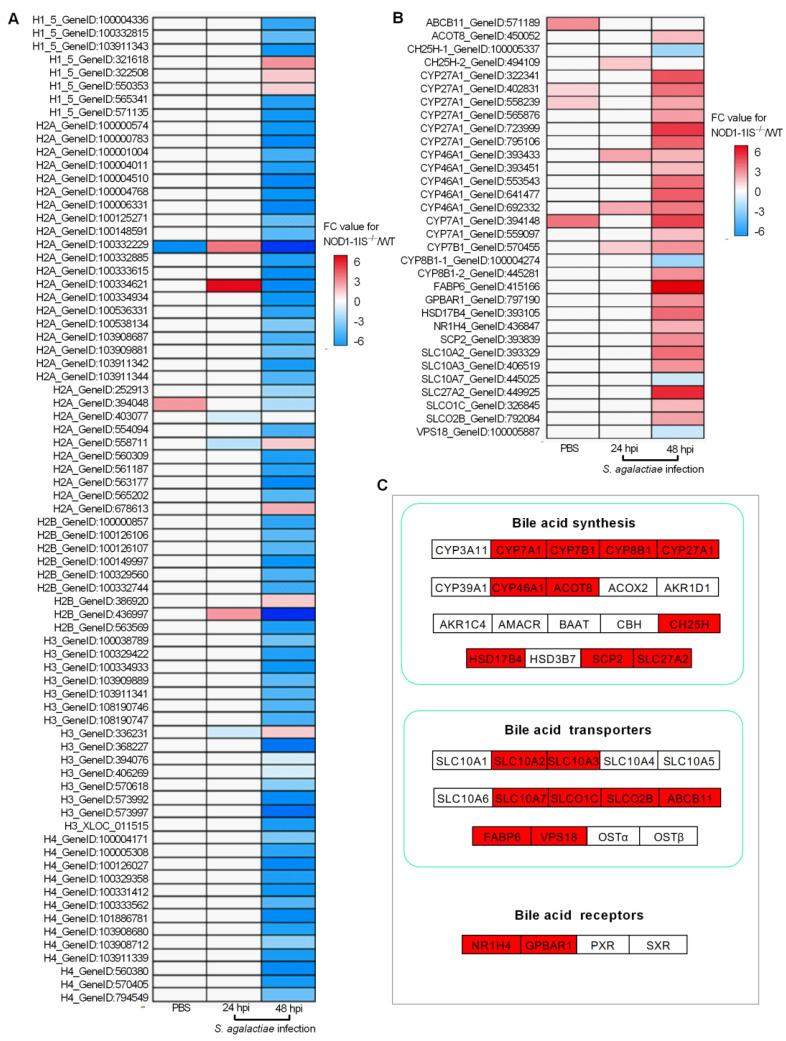 https://cdn.ncbi.nlm.nih.gov/pmc/blobs/bd78/8300774/8a7149797ca2/antibiotics-10-00861-g004.jpg