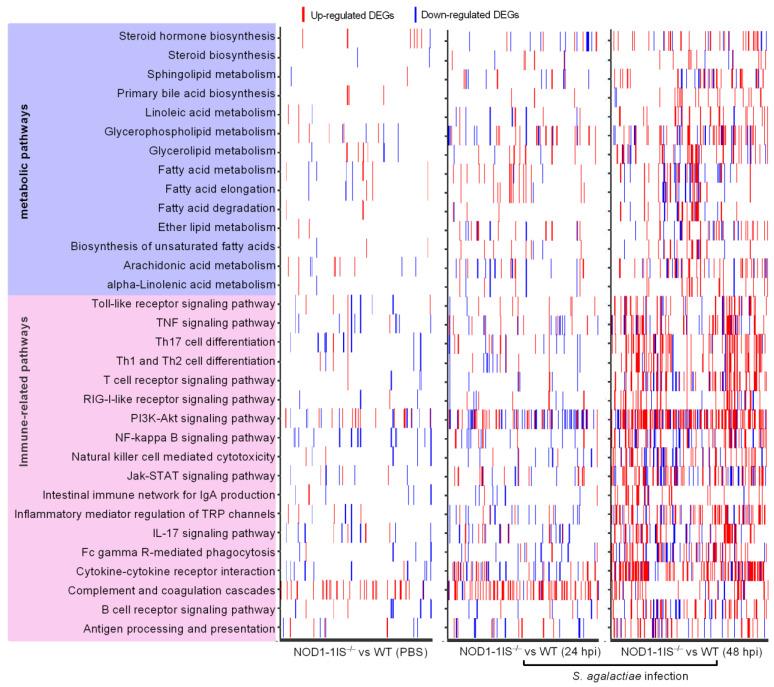 https://cdn.ncbi.nlm.nih.gov/pmc/blobs/bd78/8300774/a899cecd666c/antibiotics-10-00861-g002.jpg