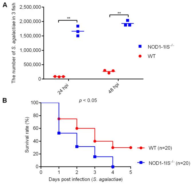https://cdn.ncbi.nlm.nih.gov/pmc/blobs/bd78/8300774/ef5032c52134/antibiotics-10-00861-g001.jpg
