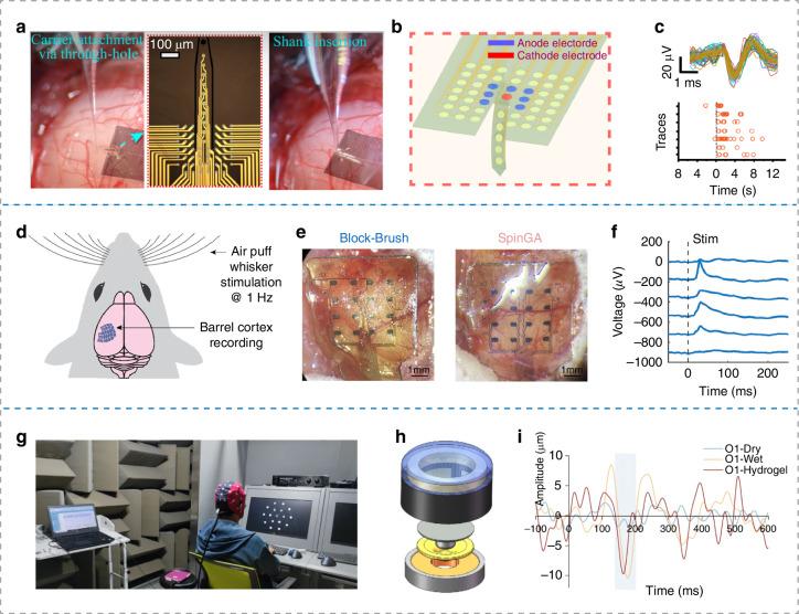 https://cdn.ncbi.nlm.nih.gov/pmc/blobs/bd79/12075682/463124b639d3/41378_2025_948_Fig4_HTML.jpg