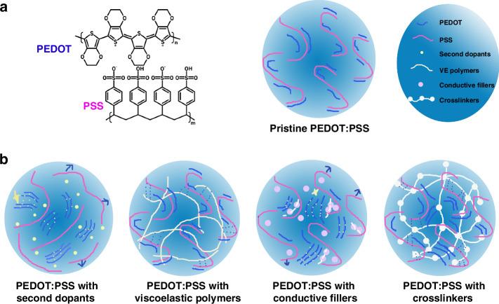 https://cdn.ncbi.nlm.nih.gov/pmc/blobs/bd79/12075682/f859f2ae330e/41378_2025_948_Fig2_HTML.jpg