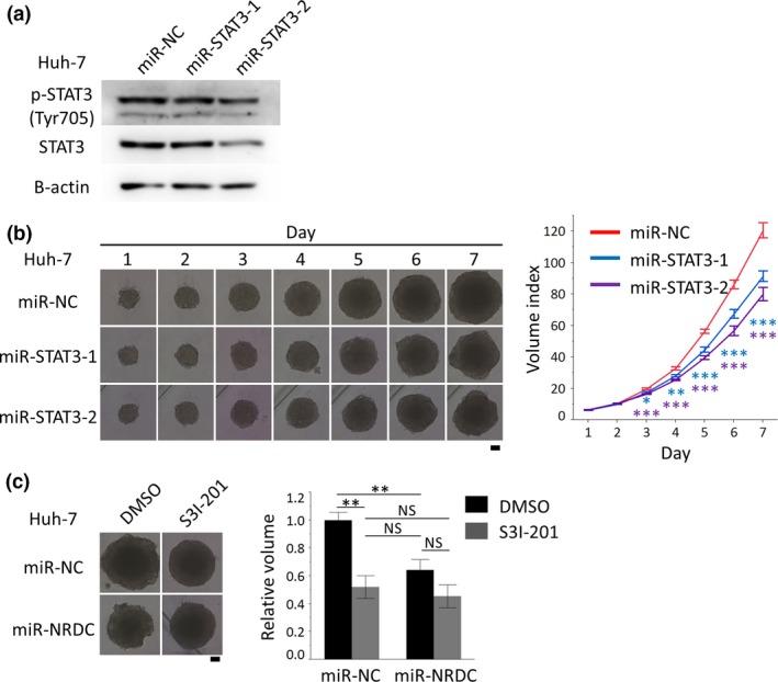 https://cdn.ncbi.nlm.nih.gov/pmc/blobs/bd79/5448622/c63563327138/CAS-108-910-g004.jpg