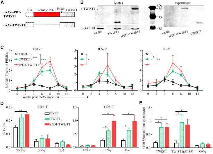 https://cdn.ncbi.nlm.nih.gov/pmc/blobs/bd7a/7878991/b4ac5353be1e/gr2.jpg
