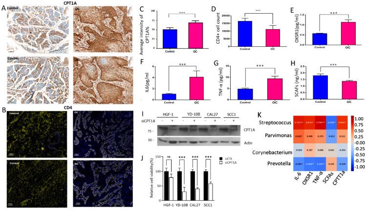 https://cdn.ncbi.nlm.nih.gov/pmc/blobs/bd7c/11508181/883a10fa1c9e/ijms-25-10890-g005.jpg