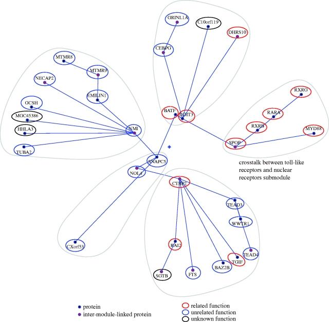 https://cdn.ncbi.nlm.nih.gov/pmc/blobs/bd7c/2838351/c8ac37df2750/rsif20080407f05.jpg