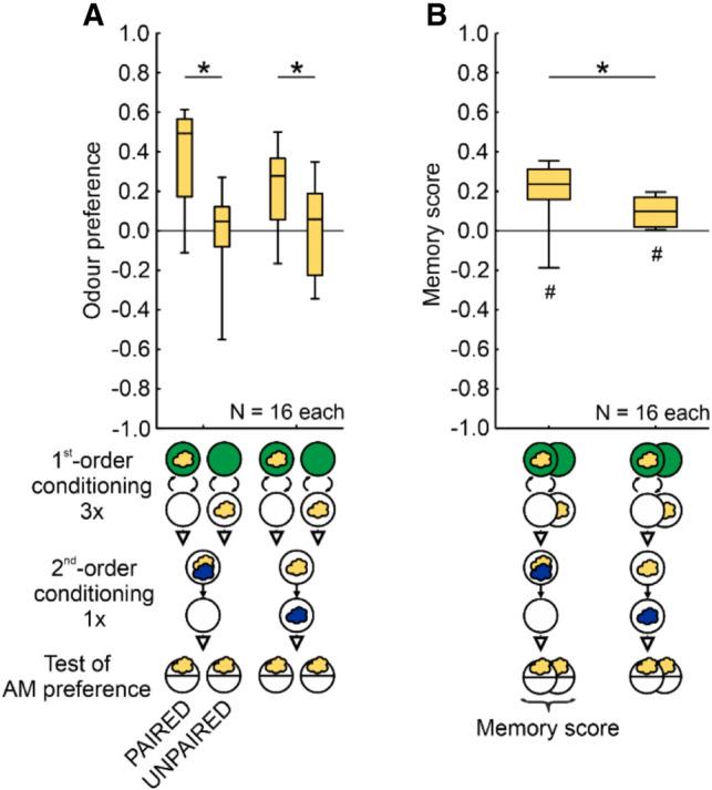 https://cdn.ncbi.nlm.nih.gov/pmc/blobs/bd7e/11199949/dde17e32ce18/LM053726Sen_F8.jpg