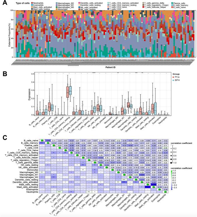 https://cdn.ncbi.nlm.nih.gov/pmc/blobs/bd7e/12061810/28e2e8c39ccb/12672_2025_2561_Fig6_HTML.jpg