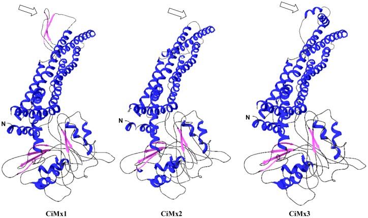 https://cdn.ncbi.nlm.nih.gov/pmc/blobs/bd7f/3522624/945c2d5f0ab5/pone.0052142.g003.jpg