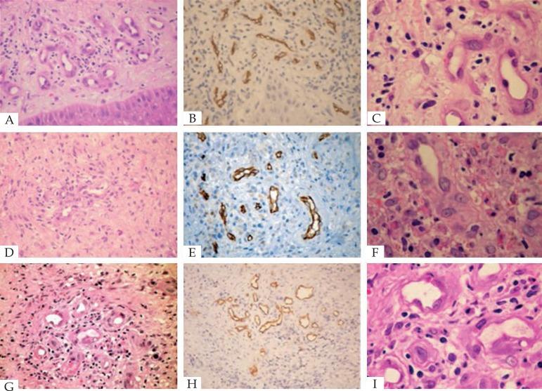 https://cdn.ncbi.nlm.nih.gov/pmc/blobs/bd80/5595596/d162b6b85004/abd-92-04-0499-g02.jpg