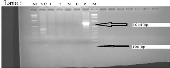https://cdn.ncbi.nlm.nih.gov/pmc/blobs/bd81/6280500/321da7f4e4df/12866_2018_1338_Fig3_HTML.jpg