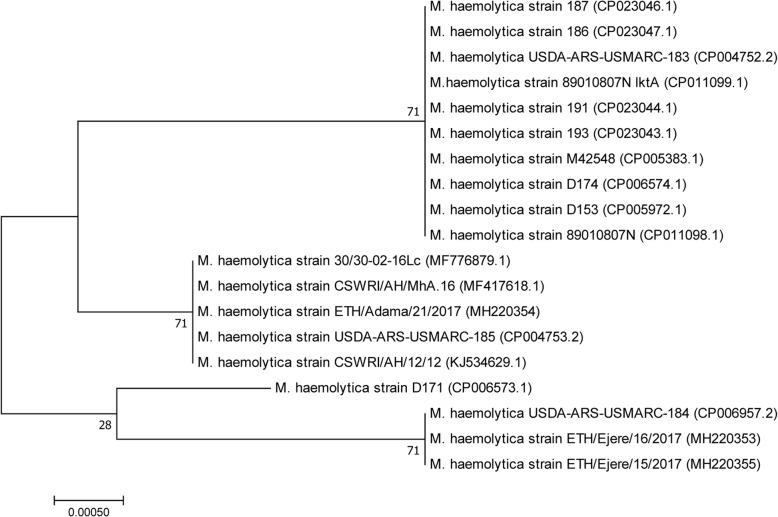 https://cdn.ncbi.nlm.nih.gov/pmc/blobs/bd81/6280500/3b56f4319c70/12866_2018_1338_Fig4_HTML.jpg