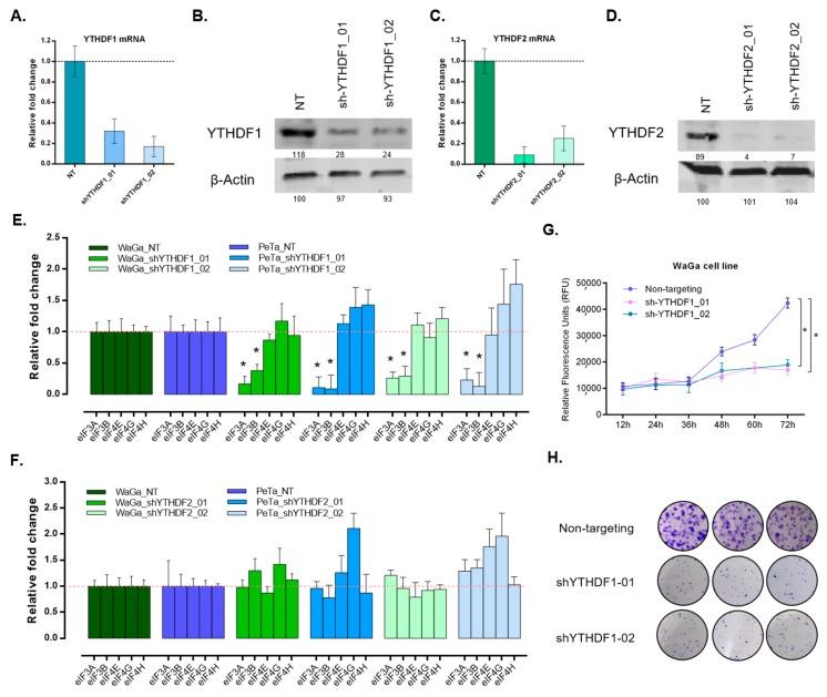 https://cdn.ncbi.nlm.nih.gov/pmc/blobs/bd82/7016651/e86a236e41ca/cancers-12-00202-g004.jpg