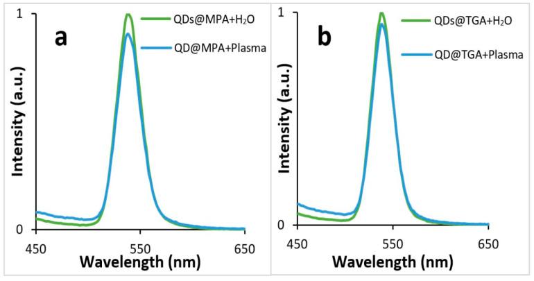 https://cdn.ncbi.nlm.nih.gov/pmc/blobs/bd84/10296636/a2b6e9274262/biosensors-13-00596-g006.jpg