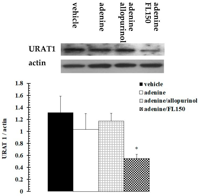 https://cdn.ncbi.nlm.nih.gov/pmc/blobs/bd84/6315909/ff2b05fb8ab1/marinedrugs-16-00472-g002.jpg