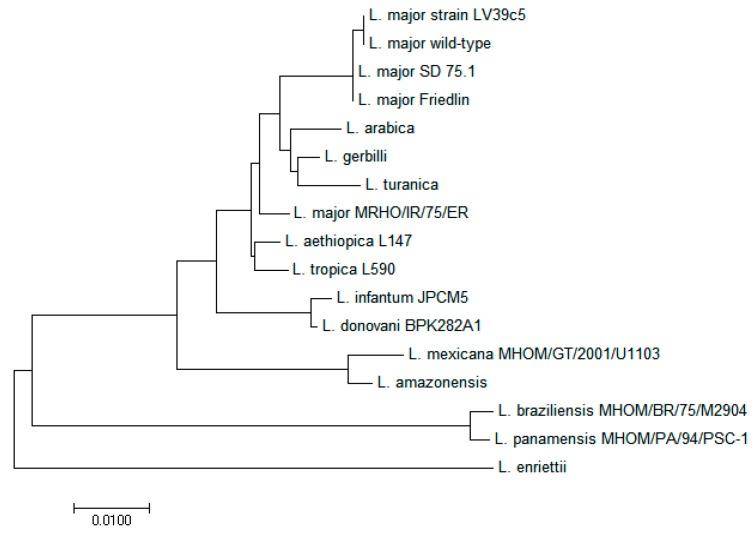 https://cdn.ncbi.nlm.nih.gov/pmc/blobs/bd87/6017637/0979610de3c7/molecules-23-00696-g003.jpg