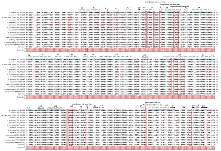 https://cdn.ncbi.nlm.nih.gov/pmc/blobs/bd87/6017637/4be5e4c8b411/molecules-23-00696-g004.jpg