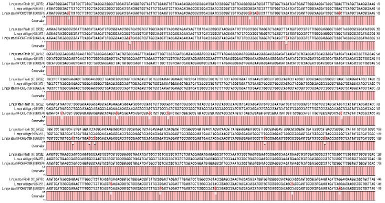 https://cdn.ncbi.nlm.nih.gov/pmc/blobs/bd87/6017637/ee4d8ff62404/molecules-23-00696-g002.jpg