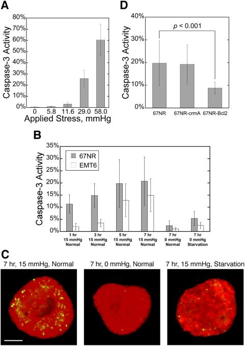 https://cdn.ncbi.nlm.nih.gov/pmc/blobs/bd89/2645686/46306b1e365a/pone.0004632.g007.jpg