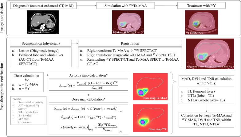 https://cdn.ncbi.nlm.nih.gov/pmc/blobs/bd8a/10317941/f22da2b9ecda/13550_2023_1011_Fig1_HTML.jpg