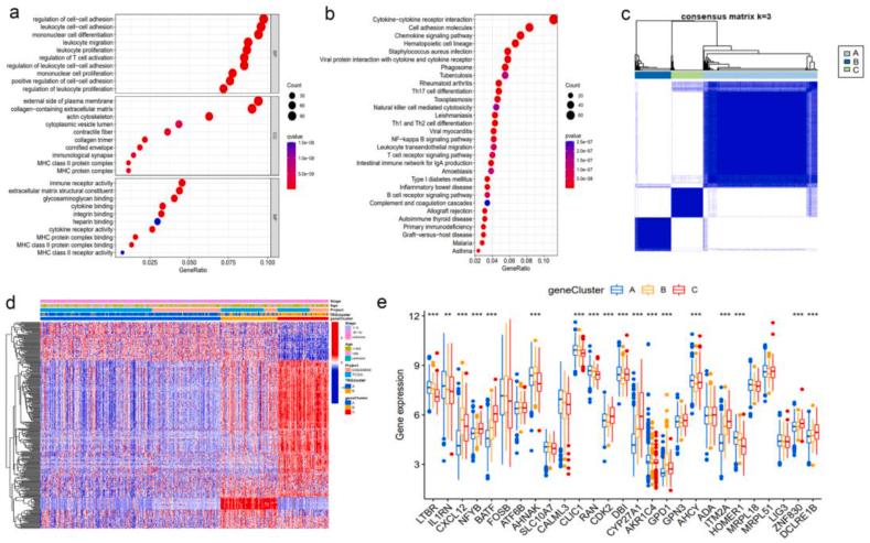 https://cdn.ncbi.nlm.nih.gov/pmc/blobs/bd8a/11284379/7b6b11368369/gr4.jpg