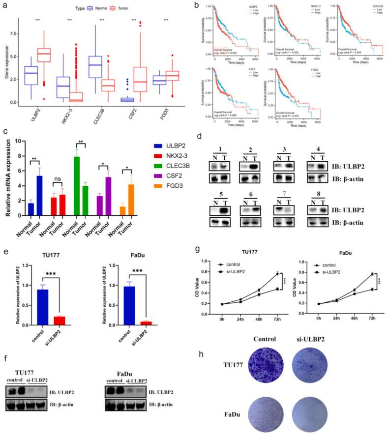https://cdn.ncbi.nlm.nih.gov/pmc/blobs/bd8a/11284379/f07c3a26e8ce/gr10.jpg