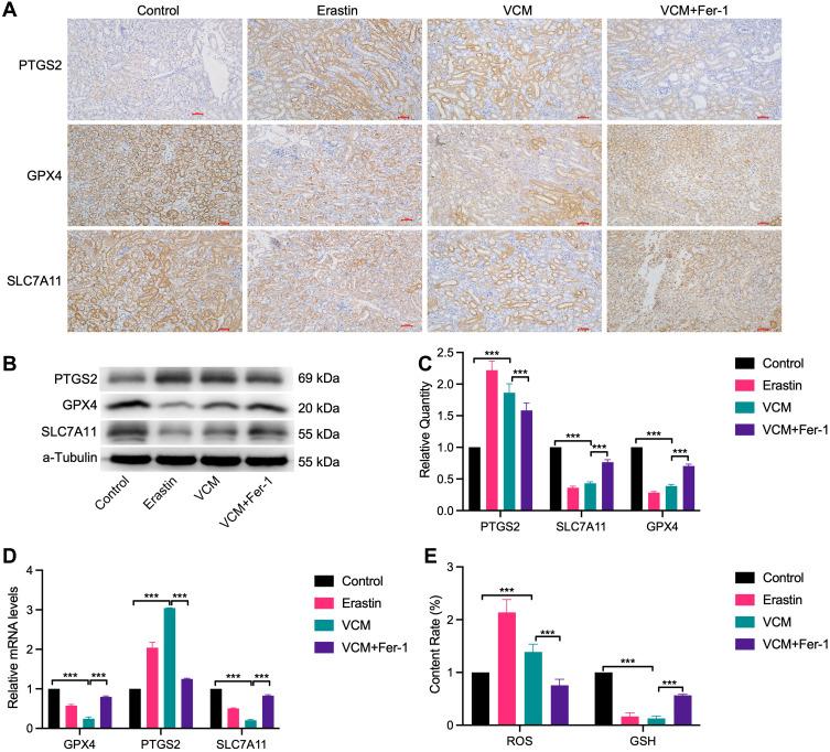https://cdn.ncbi.nlm.nih.gov/pmc/blobs/bd8a/9900154/520fa055d3b3/DDDT-17-283-g0002.jpg