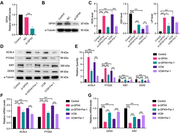 https://cdn.ncbi.nlm.nih.gov/pmc/blobs/bd8a/9900154/cda77d4e9a3a/DDDT-17-283-g0006.jpg
