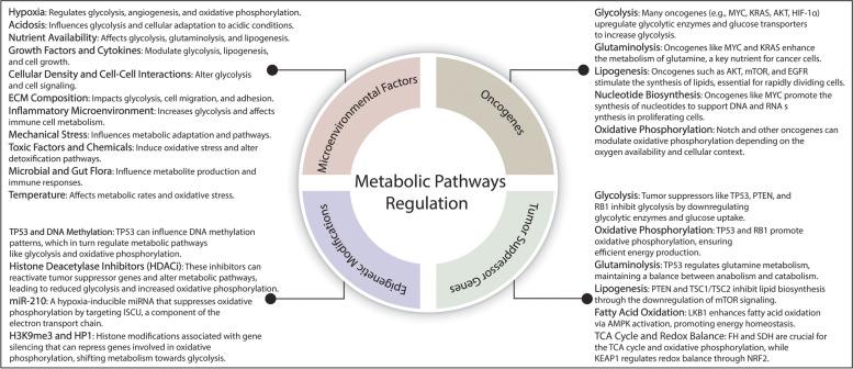 https://cdn.ncbi.nlm.nih.gov/pmc/blobs/bd8b/11409553/11b0d01abe65/12943_2024_2119_Fig5_HTML.jpg