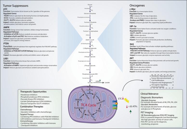 https://cdn.ncbi.nlm.nih.gov/pmc/blobs/bd8b/11409553/d855fe05c265/12943_2024_2119_Fig1_HTML.jpg
