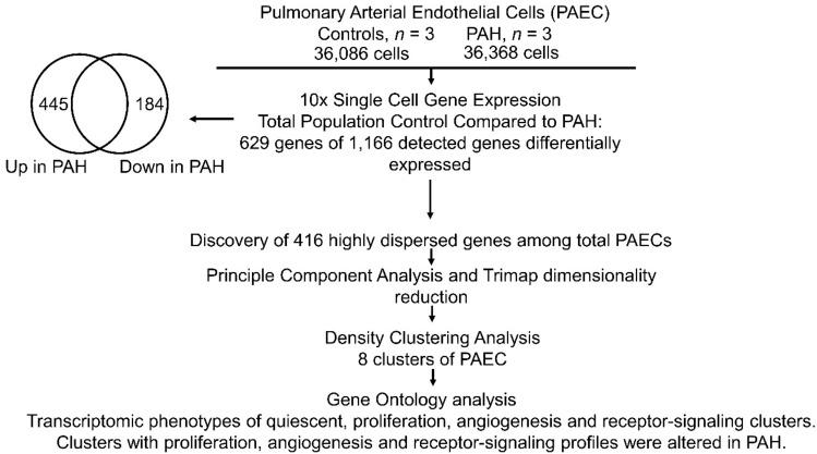 https://cdn.ncbi.nlm.nih.gov/pmc/blobs/bd8c/8289993/1fbe75fad93e/41598_2021_94163_Fig1_HTML.jpg