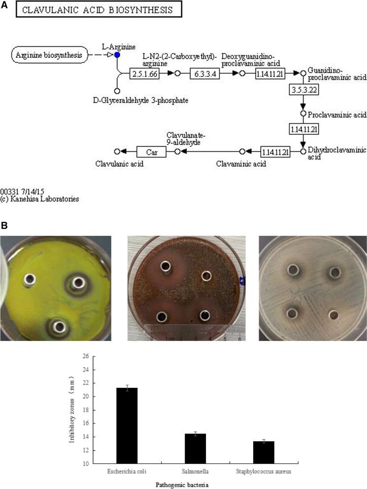 https://cdn.ncbi.nlm.nih.gov/pmc/blobs/bd8d/10466738/0d296da62a11/12866_2023_2993_Fig6_HTML.jpg