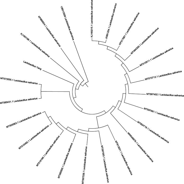 https://cdn.ncbi.nlm.nih.gov/pmc/blobs/bd8d/10466738/29caeae4a202/12866_2023_2993_Fig1_HTML.jpg