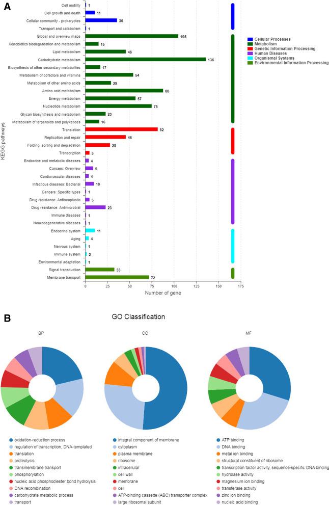 https://cdn.ncbi.nlm.nih.gov/pmc/blobs/bd8d/10466738/838a06c7c322/12866_2023_2993_Fig3_HTML.jpg