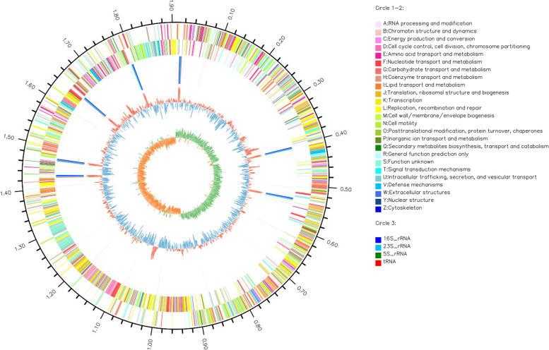 https://cdn.ncbi.nlm.nih.gov/pmc/blobs/bd8d/10466738/8d87259e342c/12866_2023_2993_Fig2_HTML.jpg