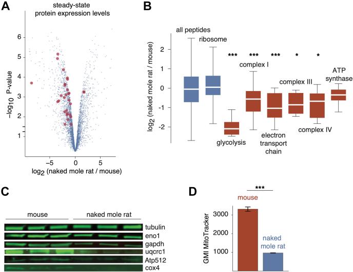 https://cdn.ncbi.nlm.nih.gov/pmc/blobs/bd8d/7950207/881449dac4d1/gr5.jpg