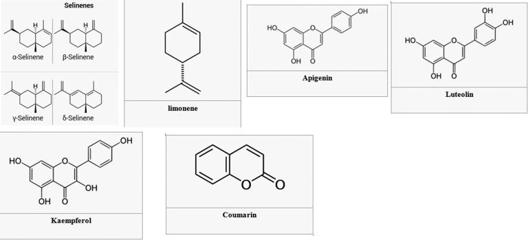 https://cdn.ncbi.nlm.nih.gov/pmc/blobs/bd8f/5871295/92a64ffab1bf/10.1177_2156587217717415-fig2.jpg
