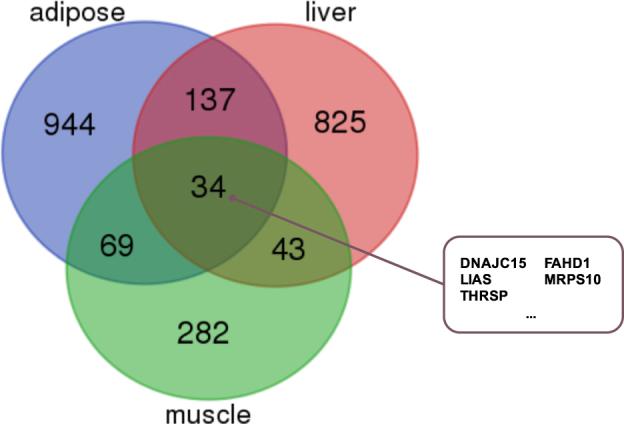 https://cdn.ncbi.nlm.nih.gov/pmc/blobs/bd8f/5938056/cc80d5e0b61b/12276_2018_66_Fig3_HTML.jpg