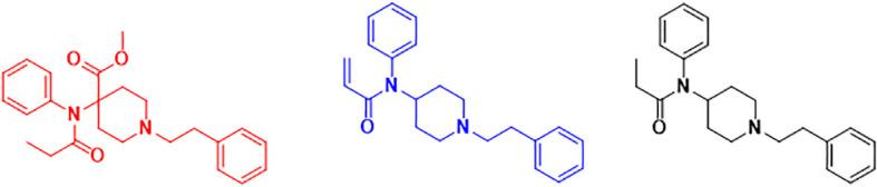 https://cdn.ncbi.nlm.nih.gov/pmc/blobs/bd90/10912486/4975b7b32610/fpsyt-15-1359851-g001.jpg