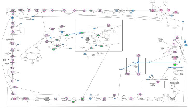 https://cdn.ncbi.nlm.nih.gov/pmc/blobs/bd90/11394487/c7e7332247f8/cells-13-01474-g003.jpg
