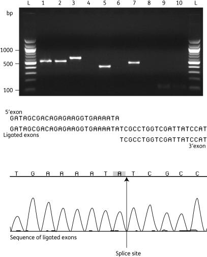 https://cdn.ncbi.nlm.nih.gov/pmc/blobs/bd91/2920175/5b7ca016f48e/dkq21904.jpg