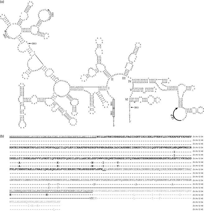 https://cdn.ncbi.nlm.nih.gov/pmc/blobs/bd91/2920175/7d67936dd9a5/dkq21903.jpg