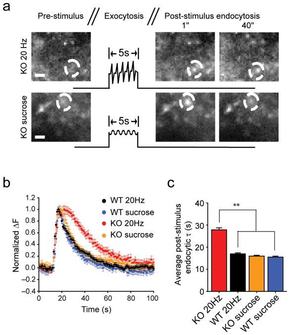 https://cdn.ncbi.nlm.nih.gov/pmc/blobs/bd91/3435110/2b32c3324bc9/nihms340277f4.jpg